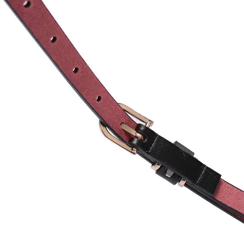 Women's Skinny Leather Belt Solid Color Waist or Hips Ornament Girls 1.5cm Wide Leopard Waistband 10 Sizes to Choose From CeinturesCuir